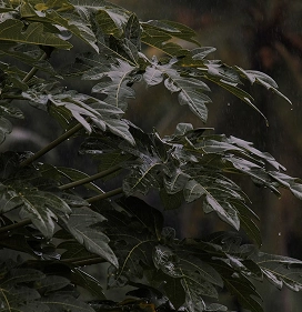 Defining Luxury Wellness