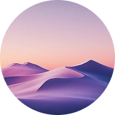 Desert Bloom Awakening